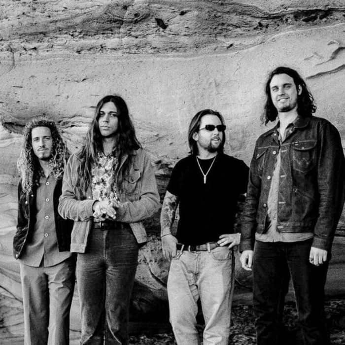 Velvet Trip cover image