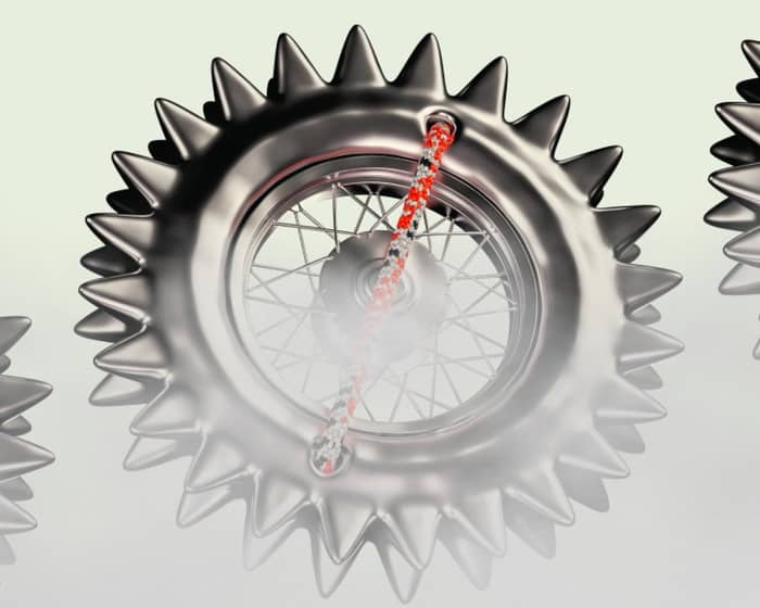 Wildlands Festival tickets