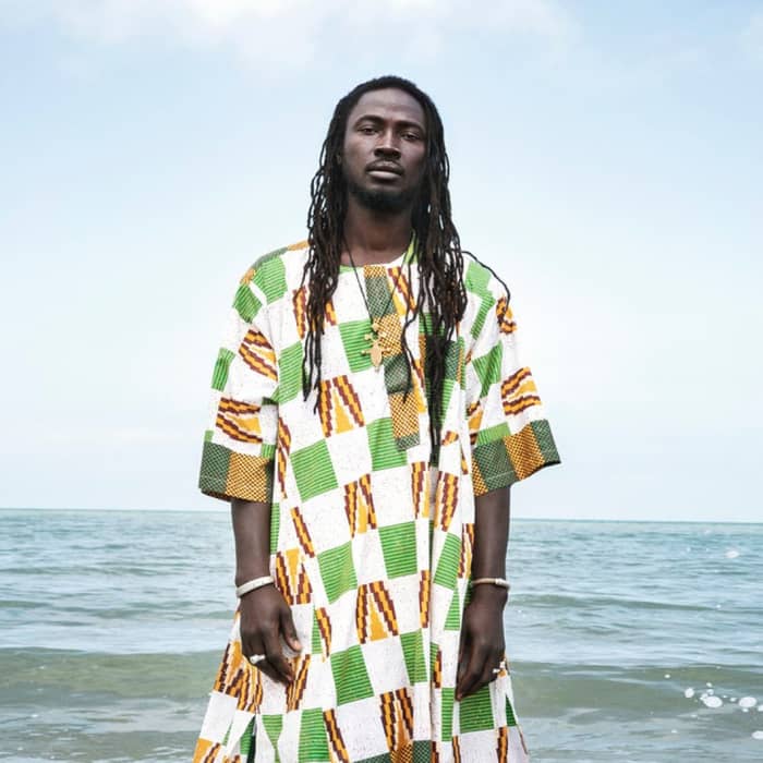 Falle Nioke cover image