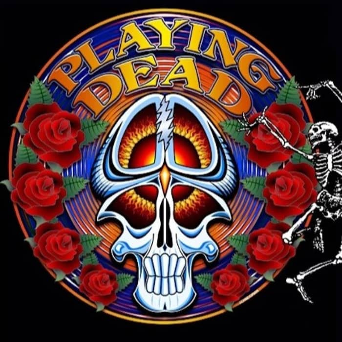 Playing Dead cover image