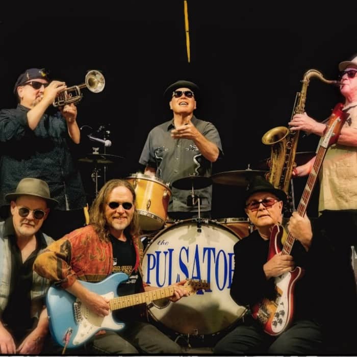 The Pulsators cover image