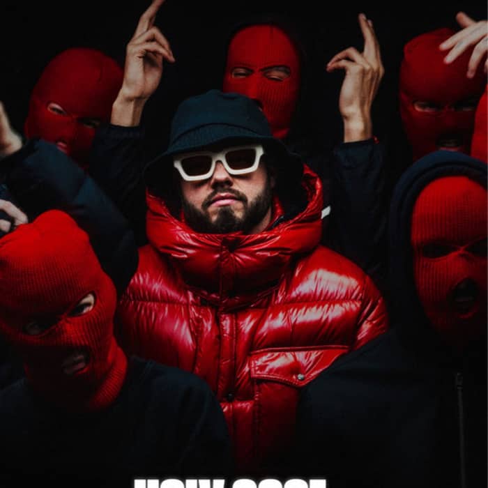 Holy Goof cover image