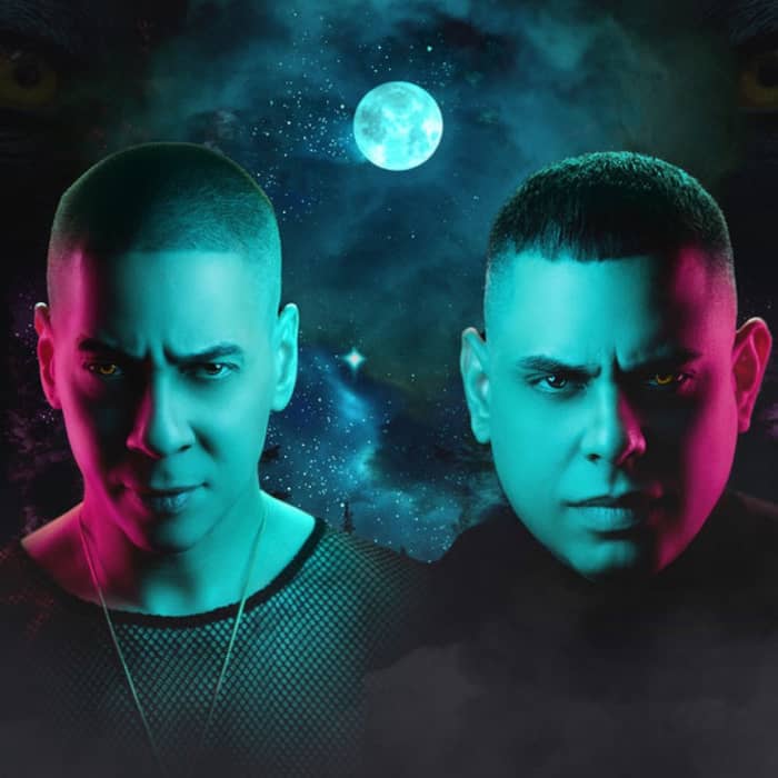Baby Rasta y Gringo cover image