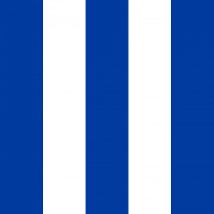 North Melbourne Kangaroos cover image