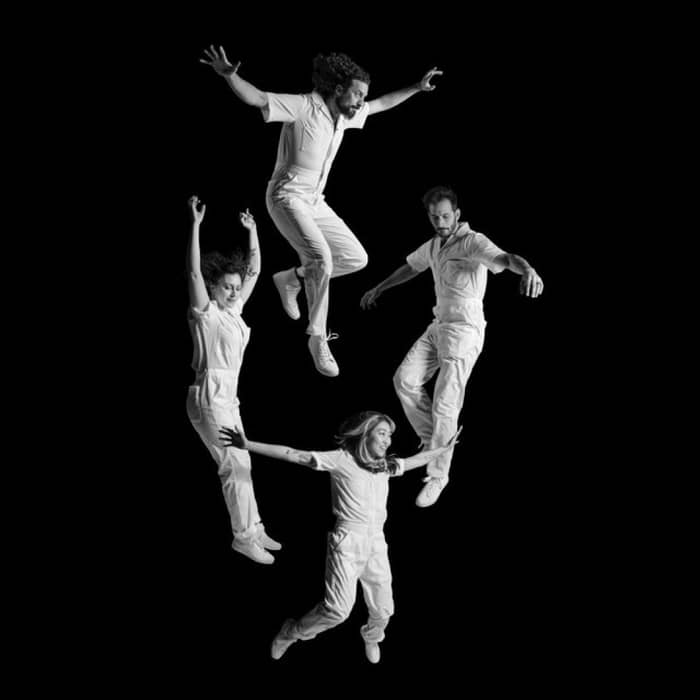 The Crane Wives cover image