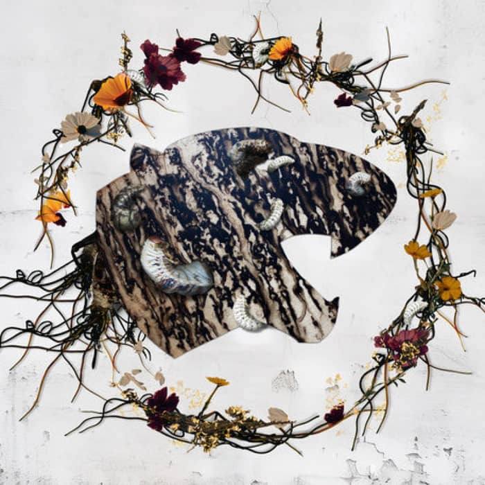 Code Orange cover image