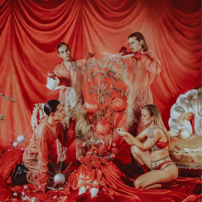 Velvet Bloom cover image