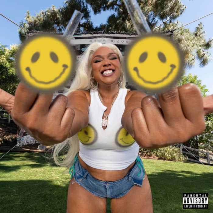 Lizzo cover image