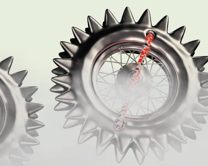 Wildlands 2026 | Meanjin - Brisbane tickets