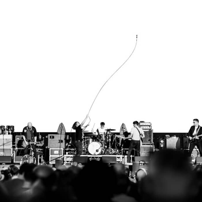 The Pigeon Detectives cover image