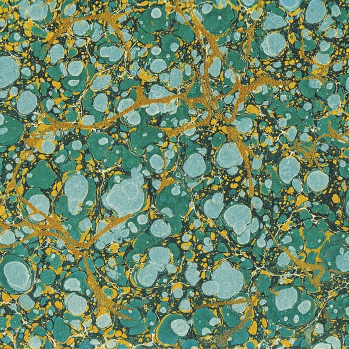 Skinshape cover image