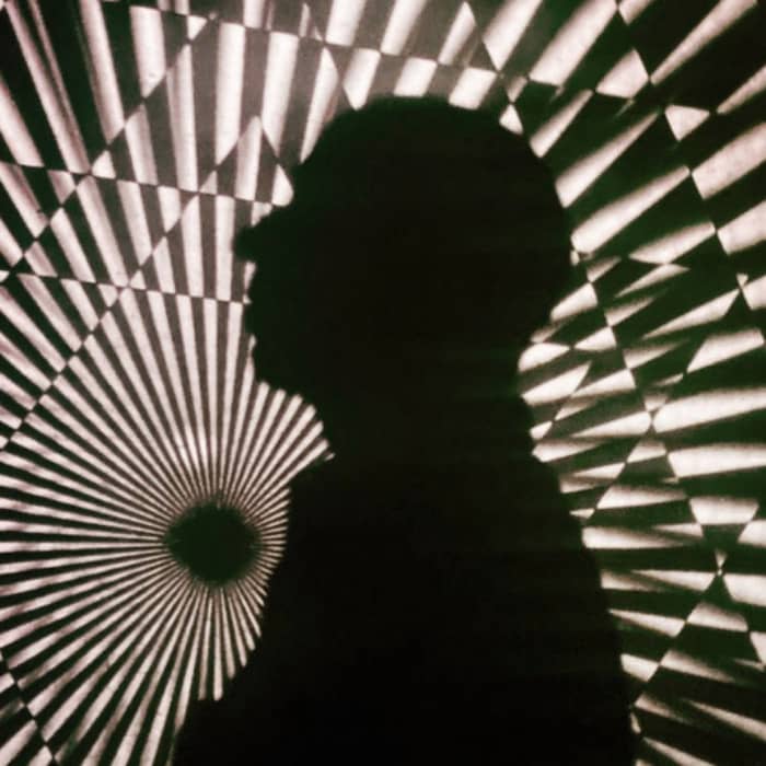 The The cover image