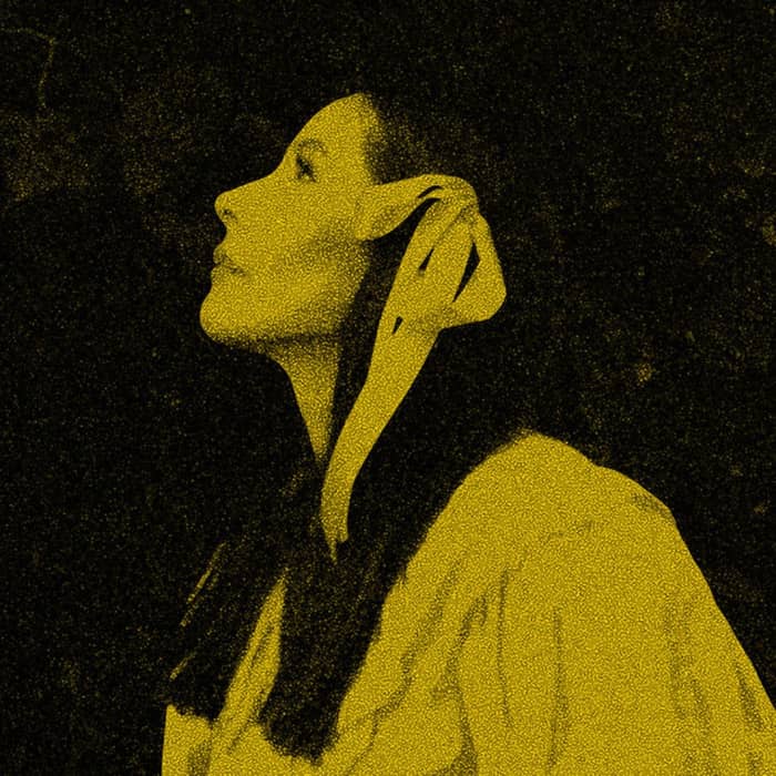 Nerina Pallot cover image