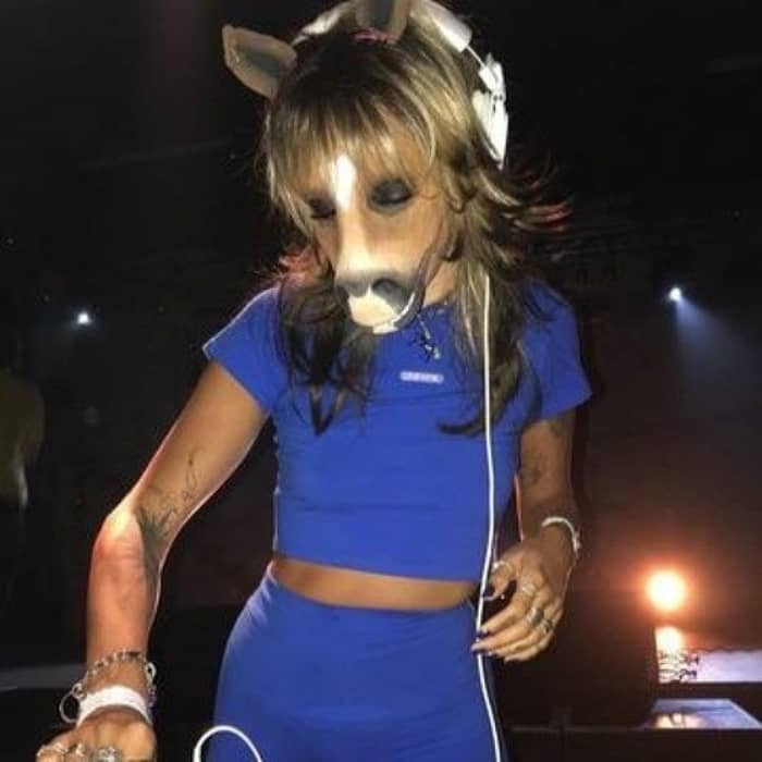 HorsegiirL cover image