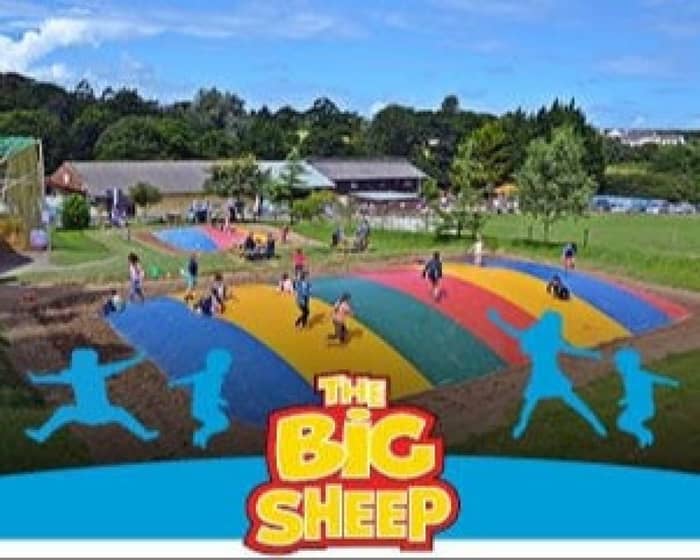The Big Sheep events