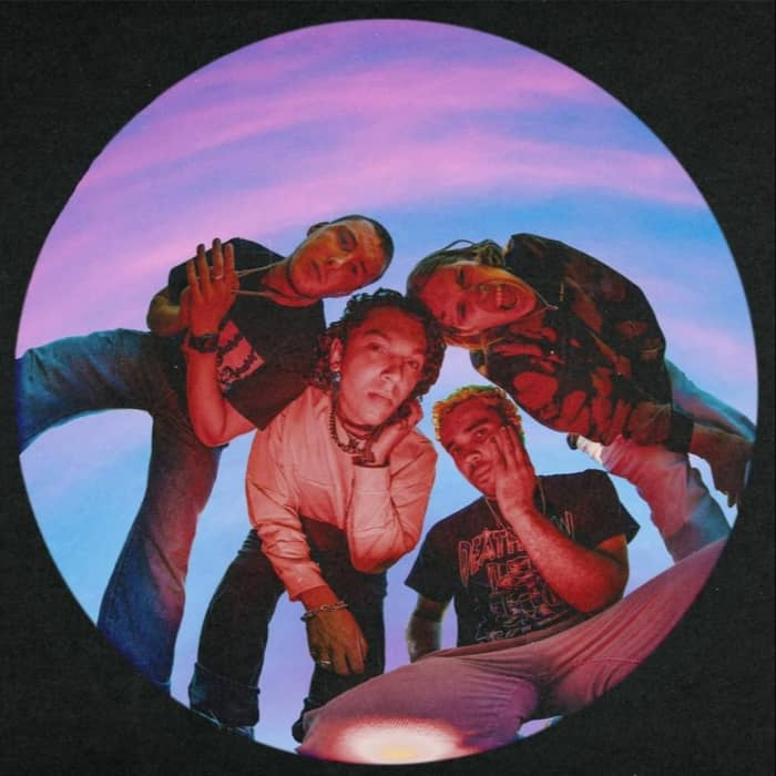 Larkins cover image
