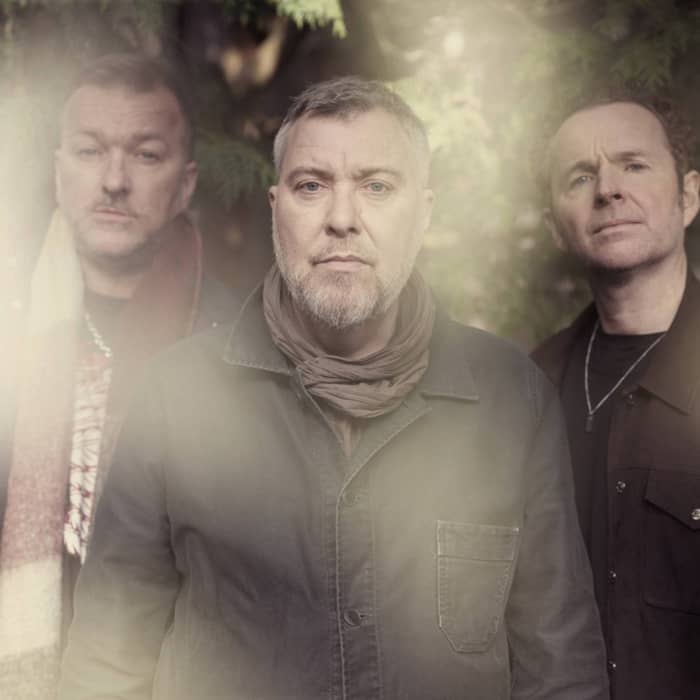 Doves cover image