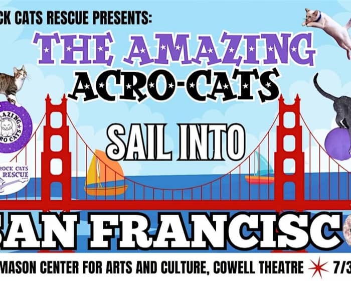 The Amazing Acro-Cats Sail Into San Francisco tickets