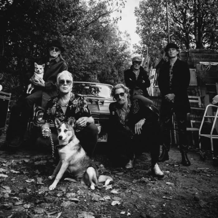 Alabama 3 cover image