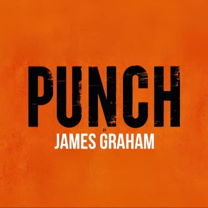 Punch cover image