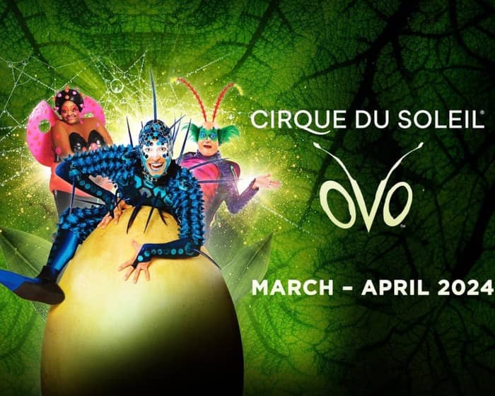 Cirque du Soleil: OVO tickets