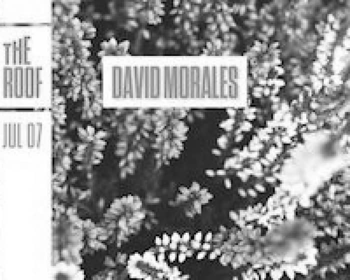 David Morales tickets