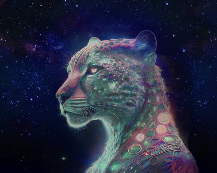 Basement Jaxx - The Full Live Show For The First Time In Over 15 Years tickets