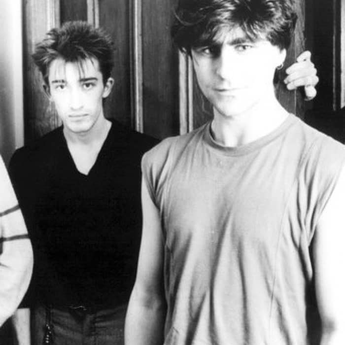 The Chameleons cover image