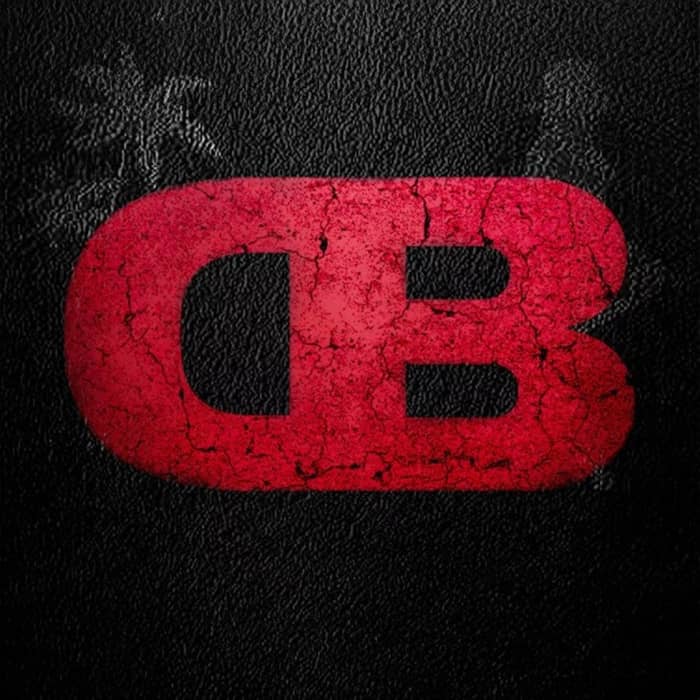 Disobey cover image
