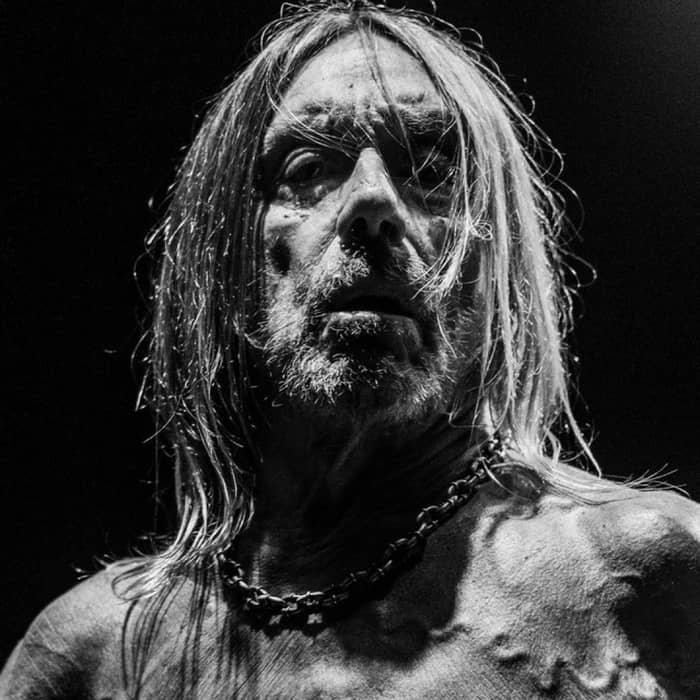 Iggy Pop cover image