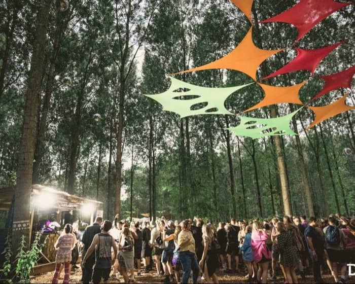 Into the Woods festival 2024 tickets