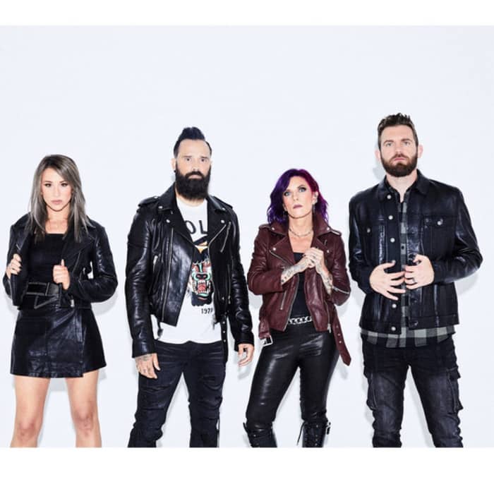 Skillet cover image