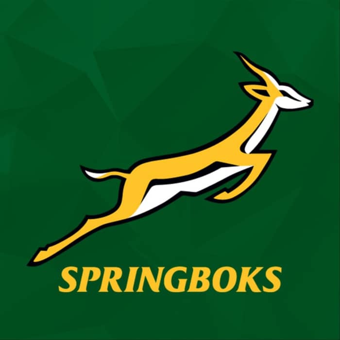 South Africa national rugby union team (Springboks) events
