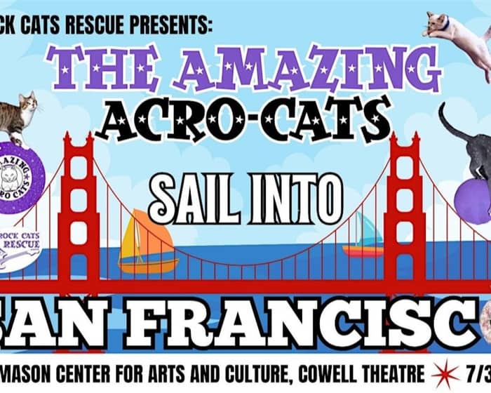 The Amazing Acro-Cats Sail Into San Francisco tickets