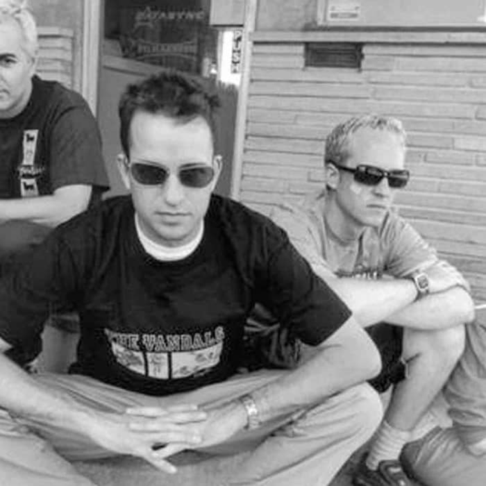 The Vandals cover image