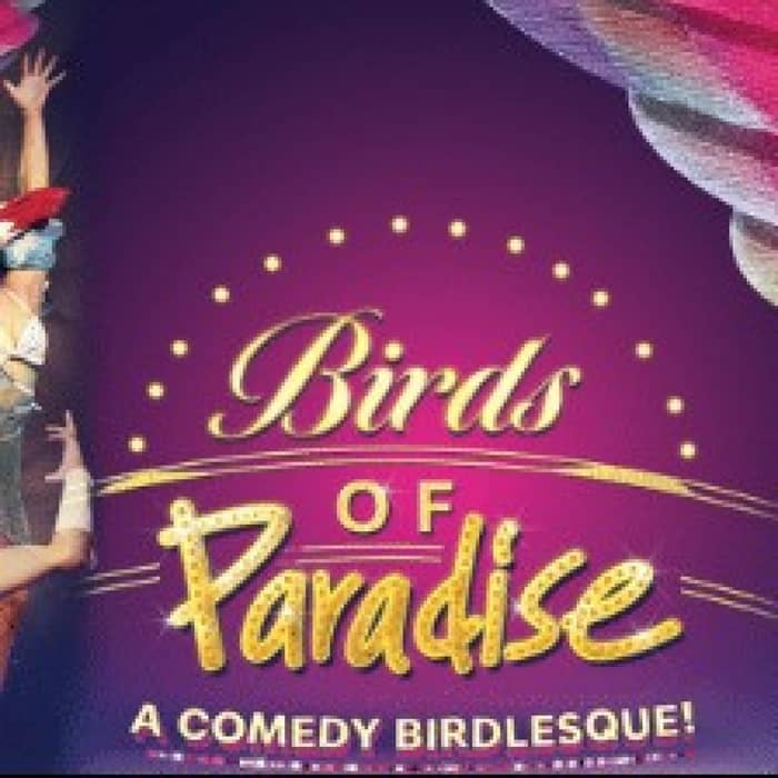 Bird of Paradise events