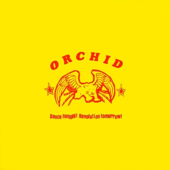 Orchid