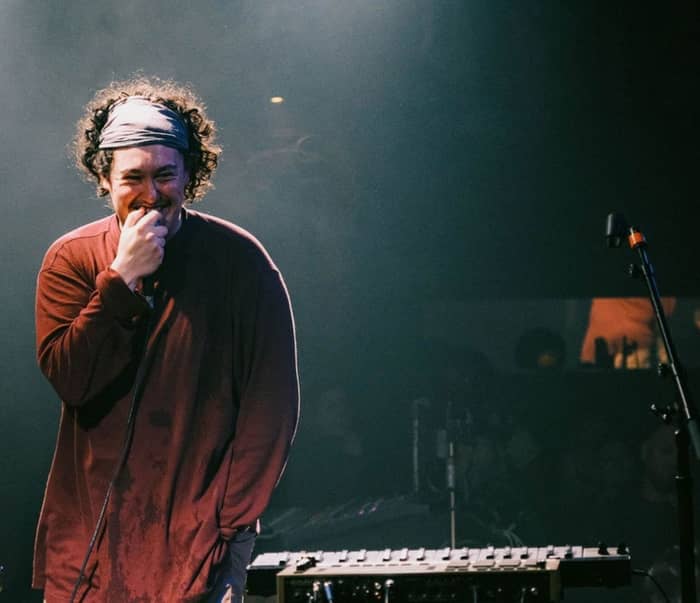 Hobo Johnson & The Lovemakers cover image