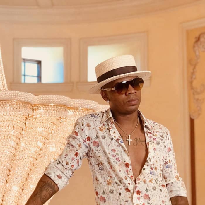 Plies cover image