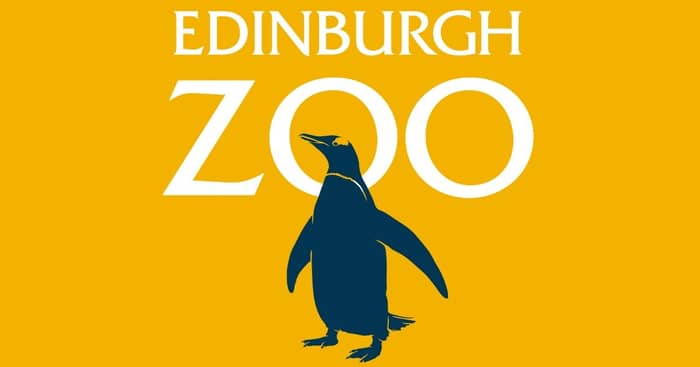 Edinburgh Zoo events