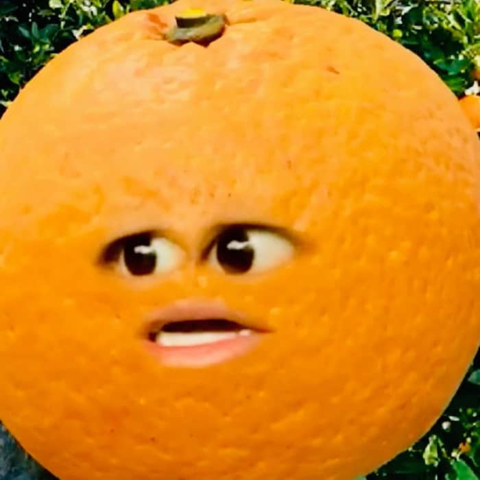 Cam cover image