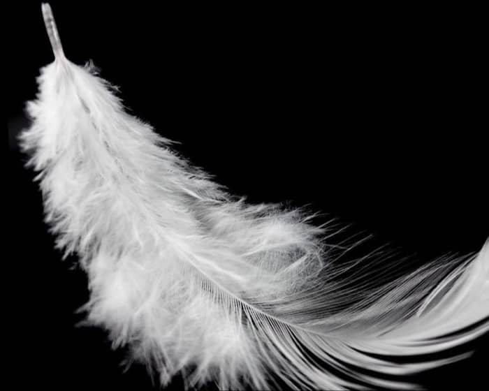 Ballet Preljocaj – Swan Lake tickets