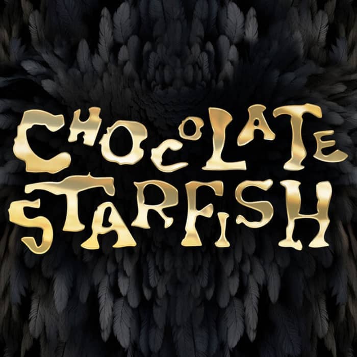 Chocolate Starfish cover image