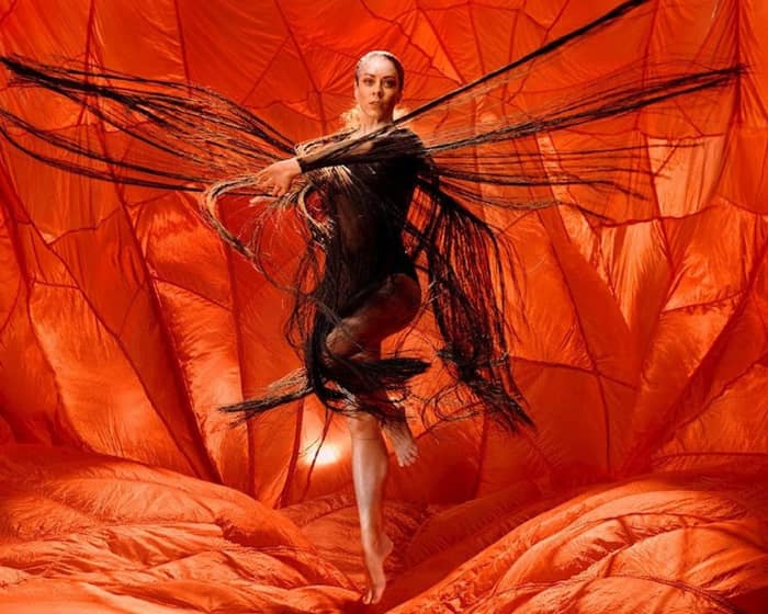 Illume tickets