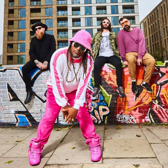 Skindred cover image
