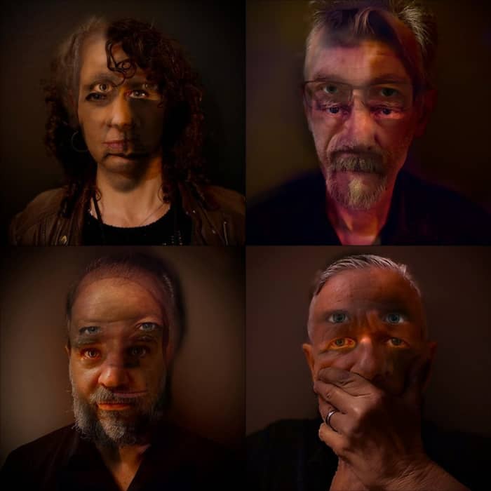Swans cover image