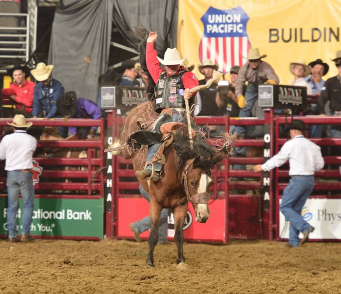 River City Rodeo cover image
