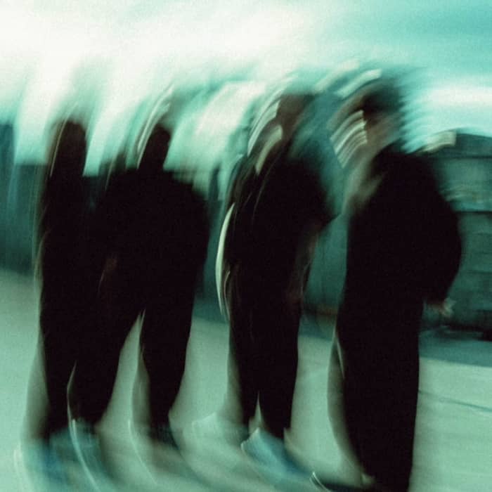 Diesect cover image