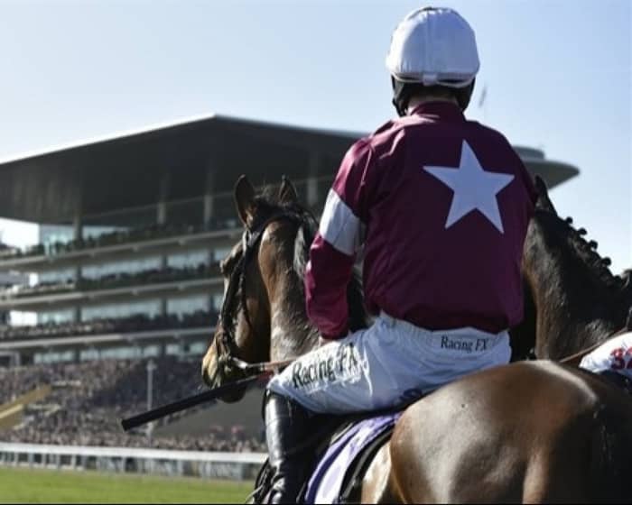 Cheltenham Racecourse events