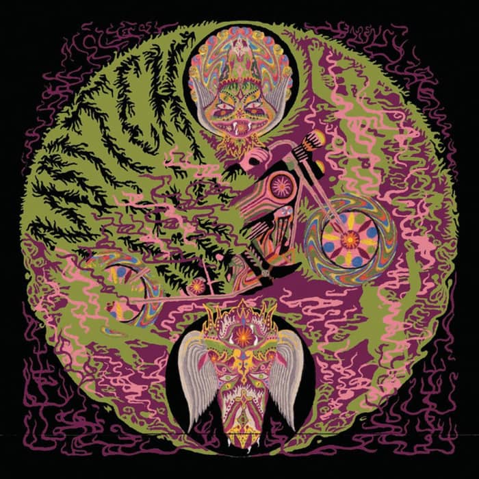 Witch cover image